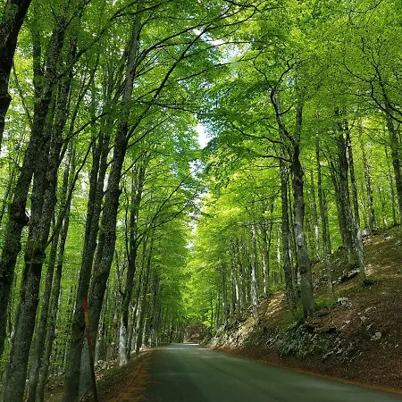 Il Grottino Apartman *