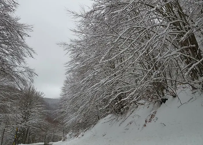 Apartment Il Grottino Pescasseroli