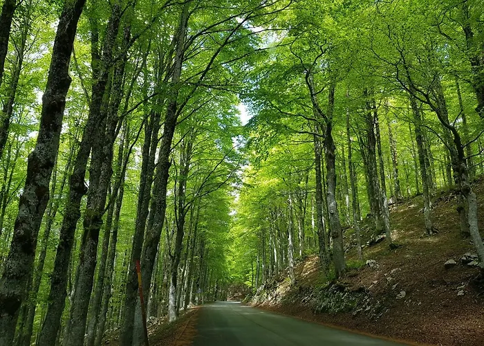 Il Grottino Апартаменты *